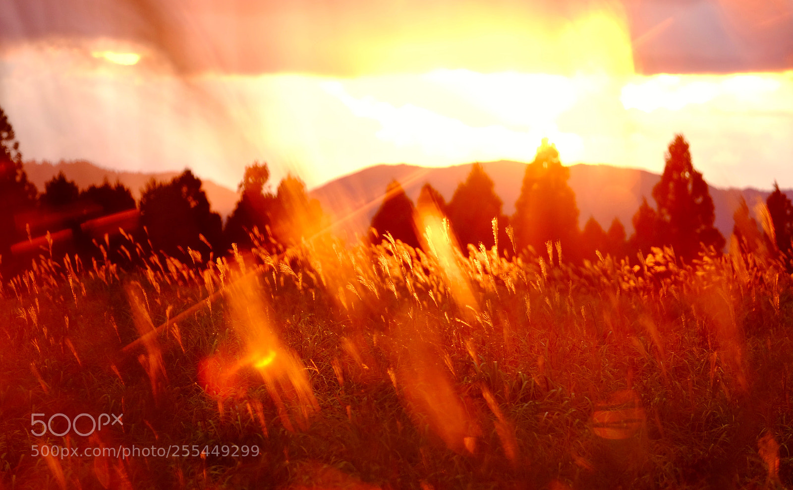 Fujifilm X-E2 sample photo. One day sunset photography