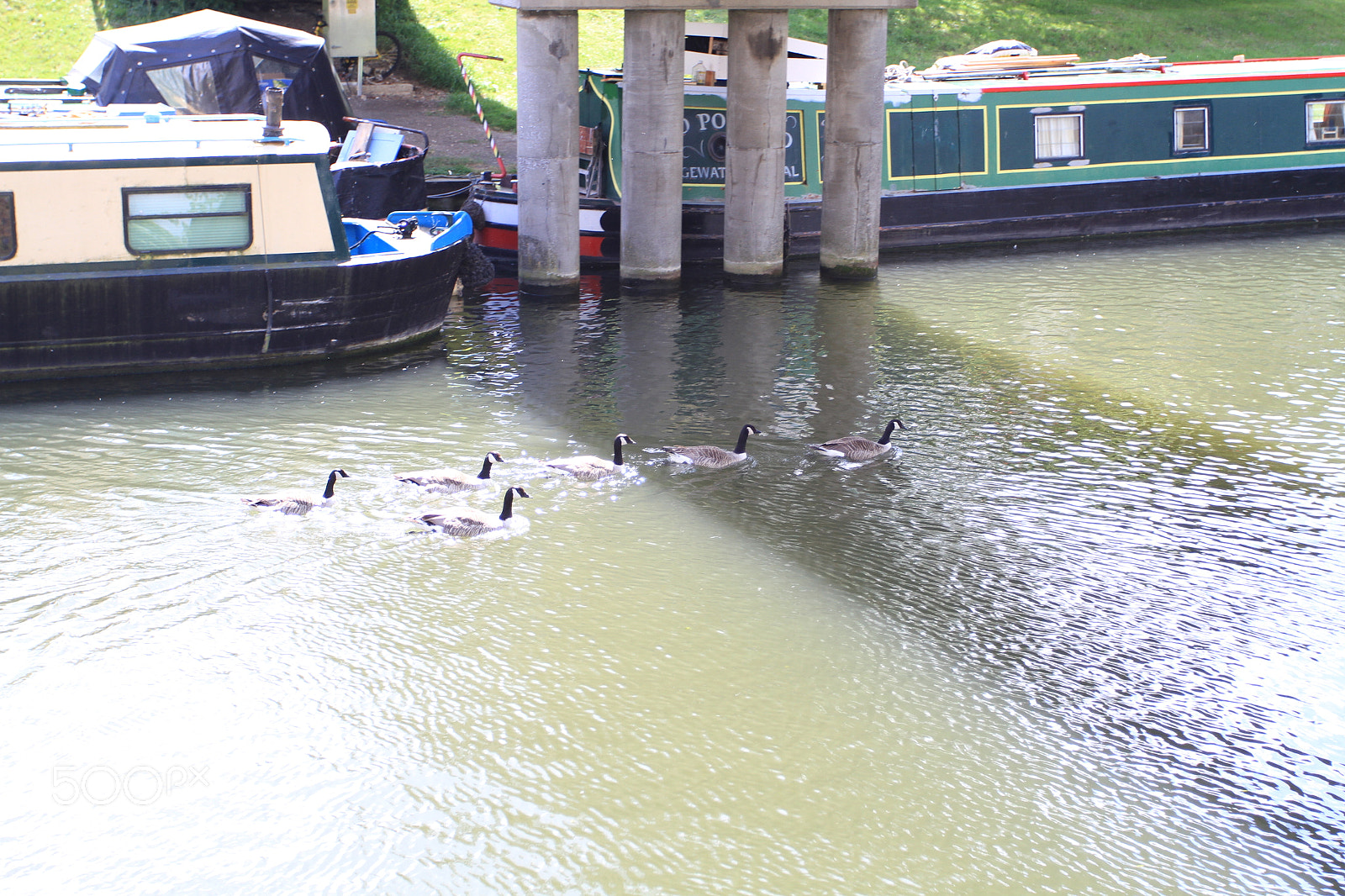 Canon EOS 7D sample photo. River great ouse ely photography