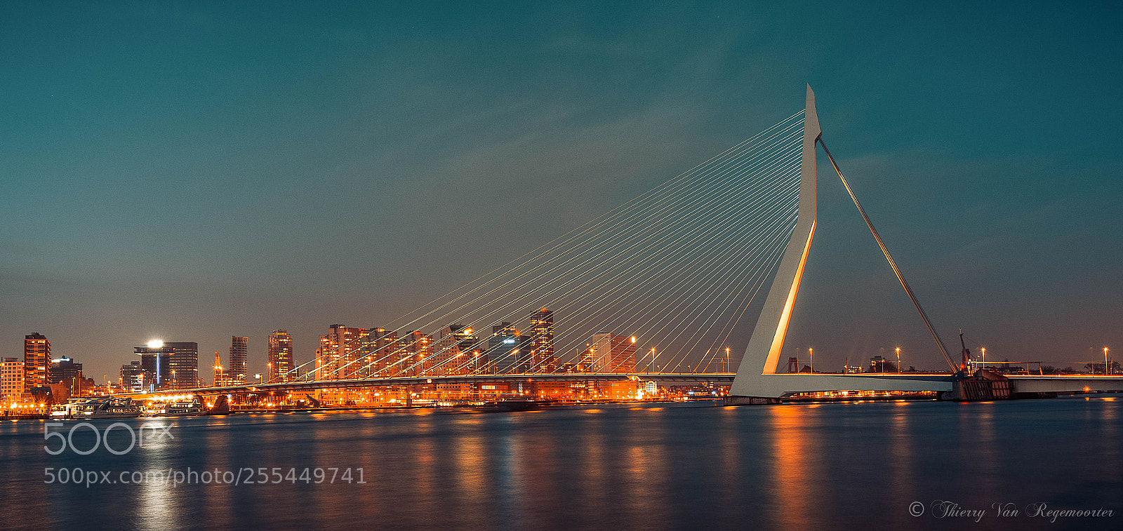 Nikon D7100 sample photo. Rotterdam photography