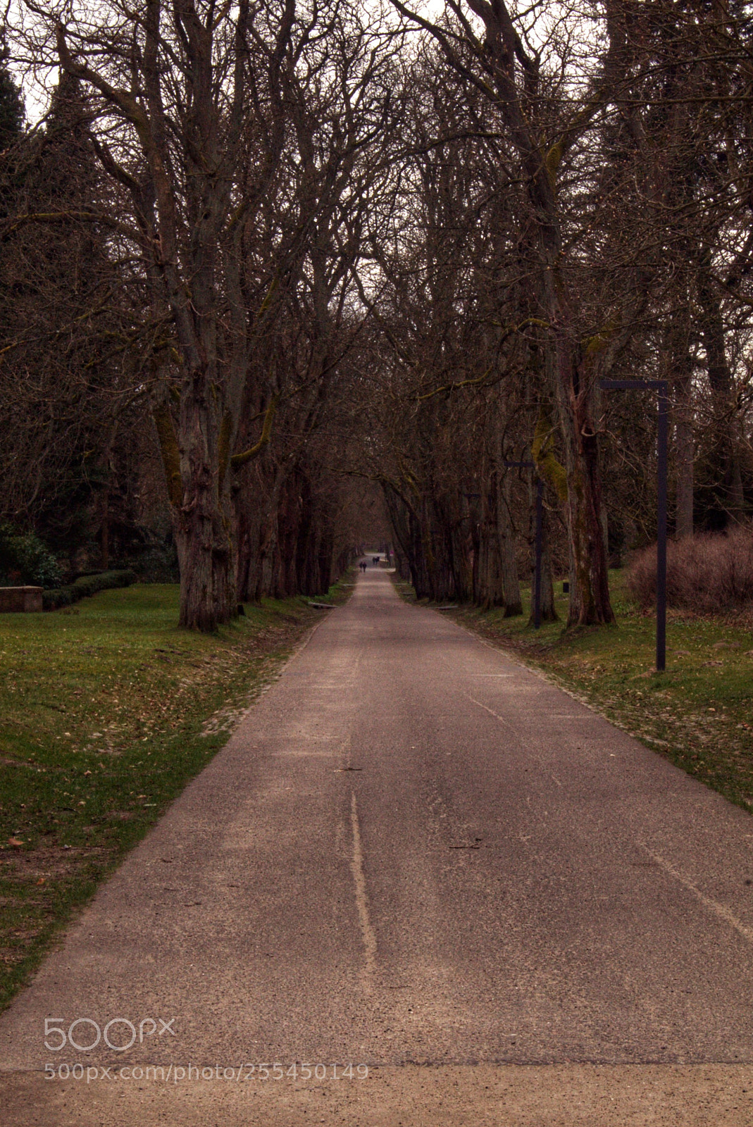 Sony SLT-A58 sample photo. Putbus photography