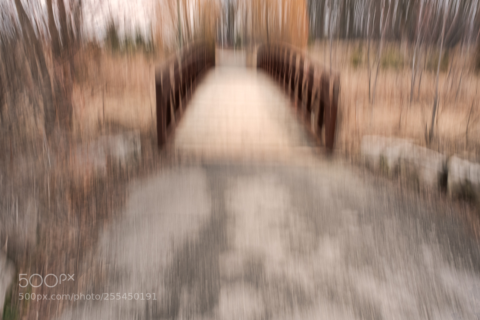 Fujifilm X-T2 sample photo. Bridge to dog park photography