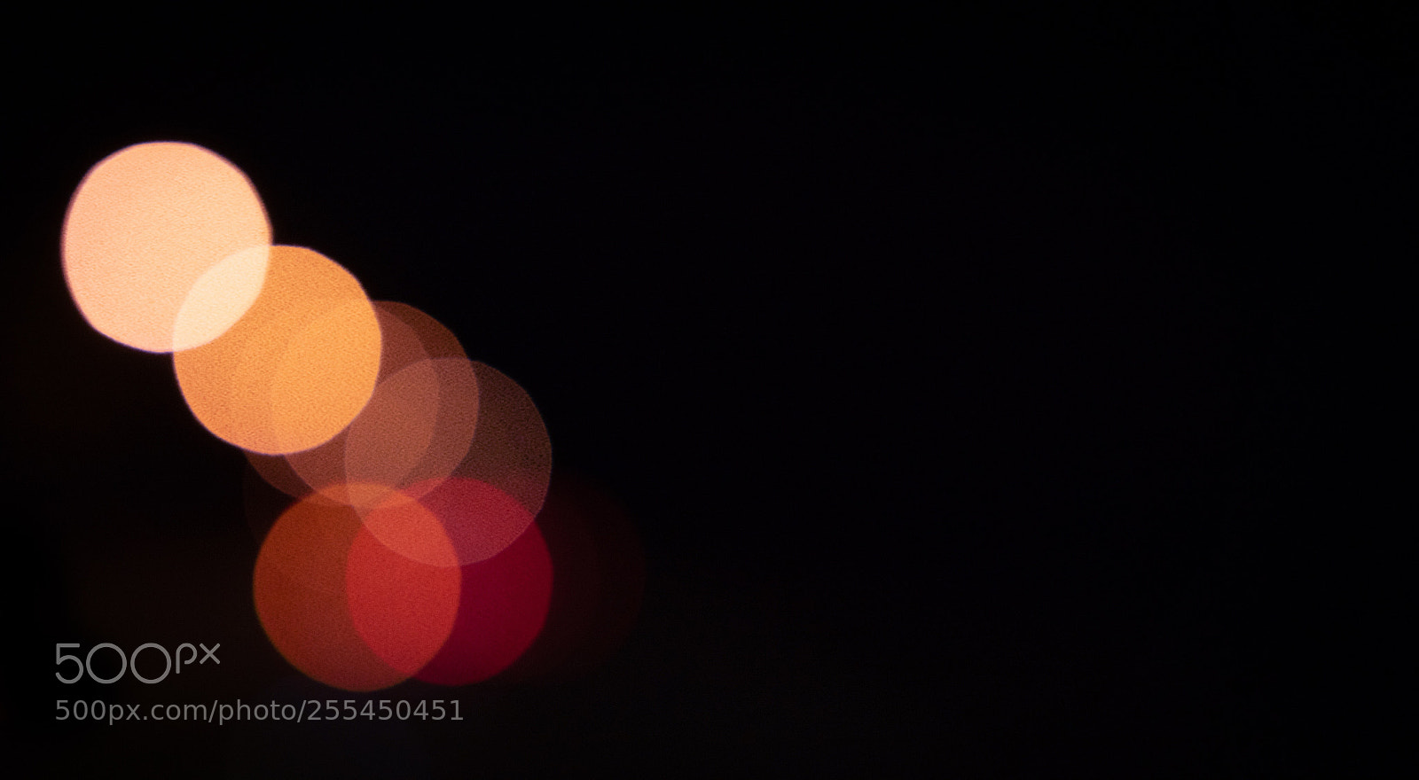 Sony a7 II sample photo. Bokeh beauty... photography
