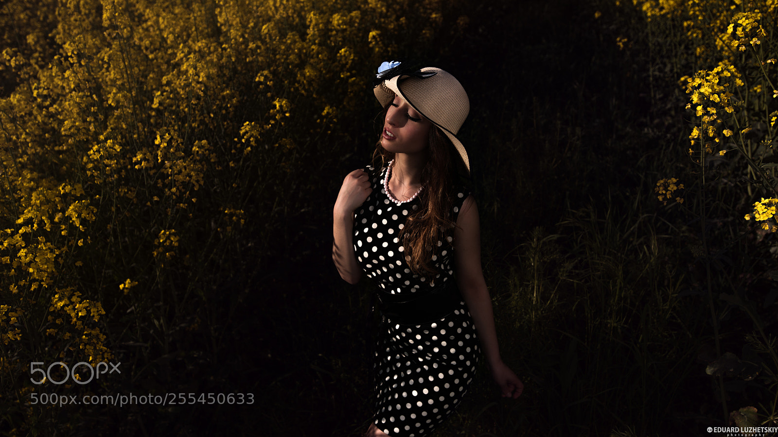 Nikon D810 sample photo. Evening flowers photography