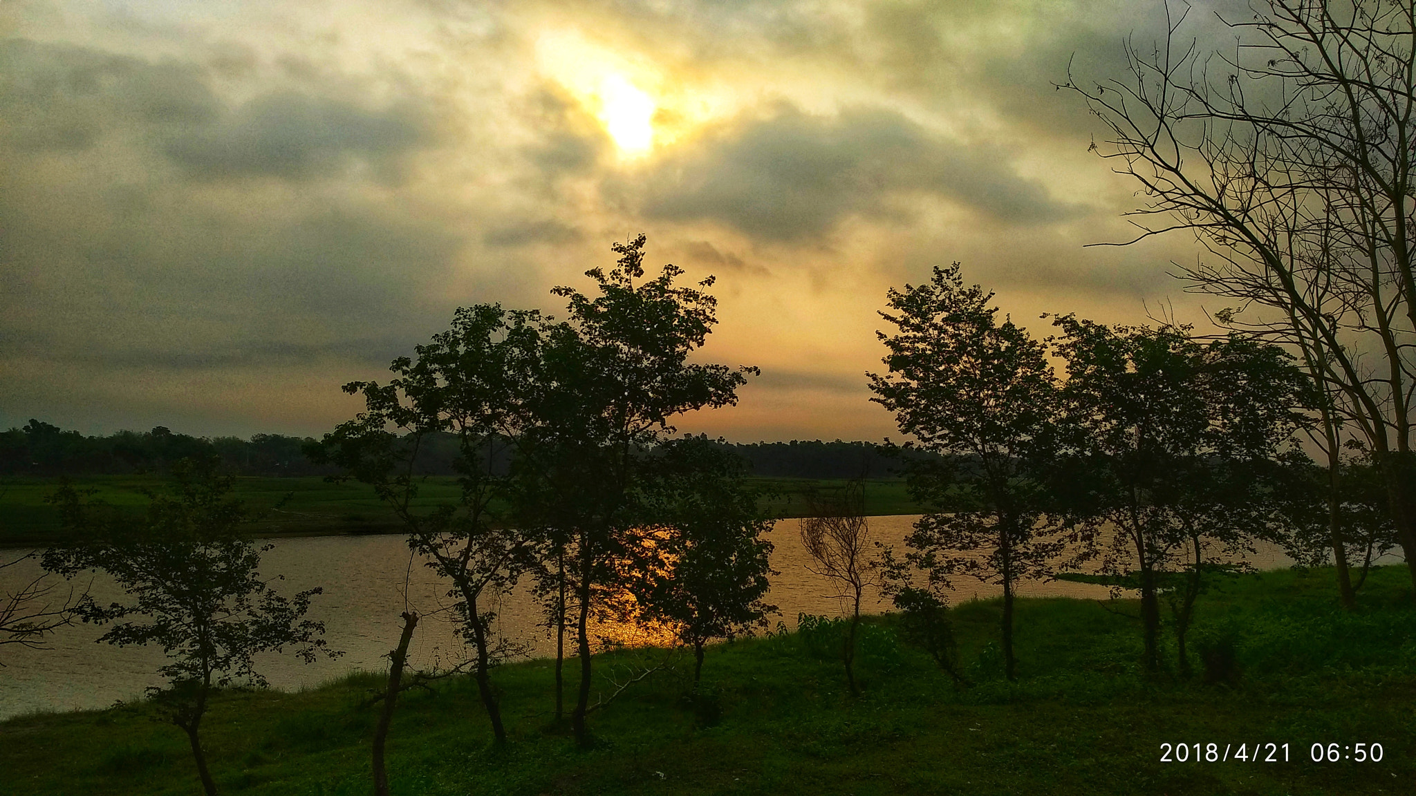 Xiaomi MI MAX 2 sample photo. Sun smiles photography
