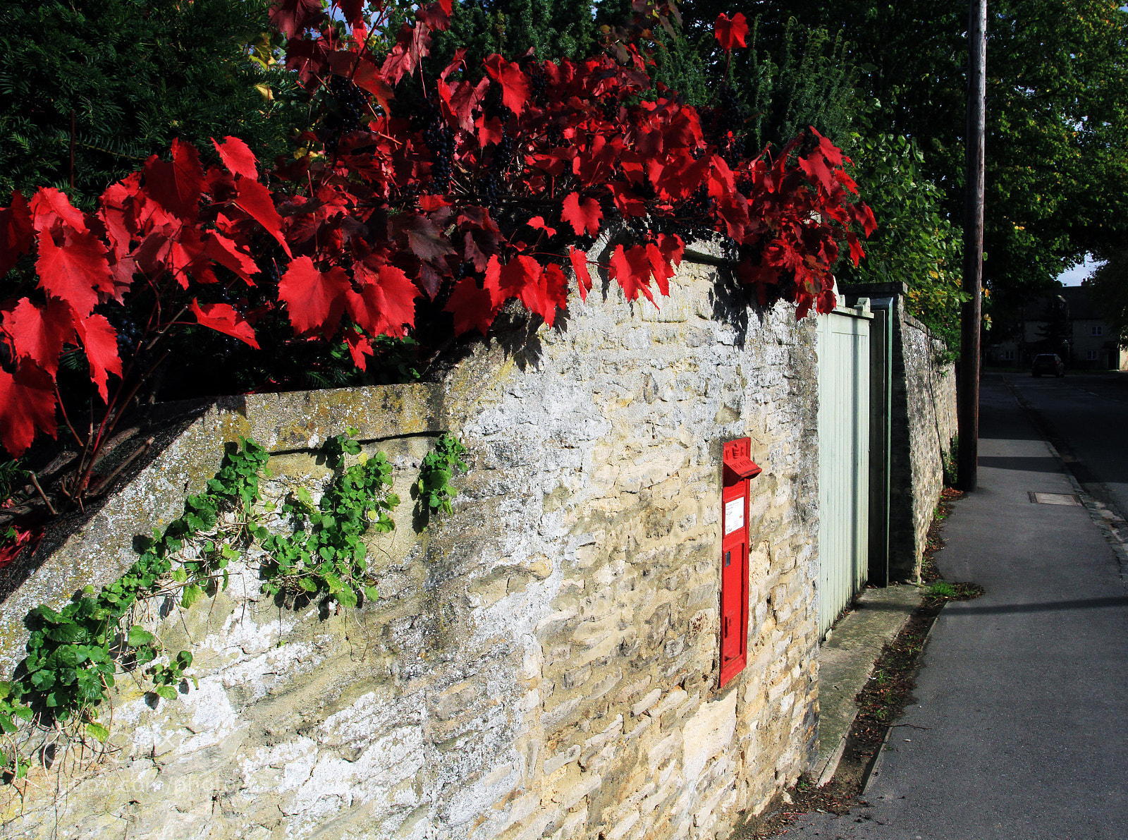 Canon EOS 7D sample photo. Bampton oxfordshire november o photography