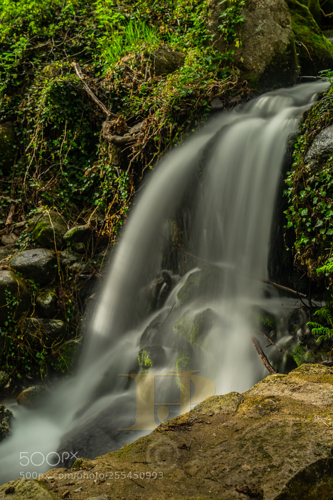 Sony a7 II sample photo. Capa de seda photography