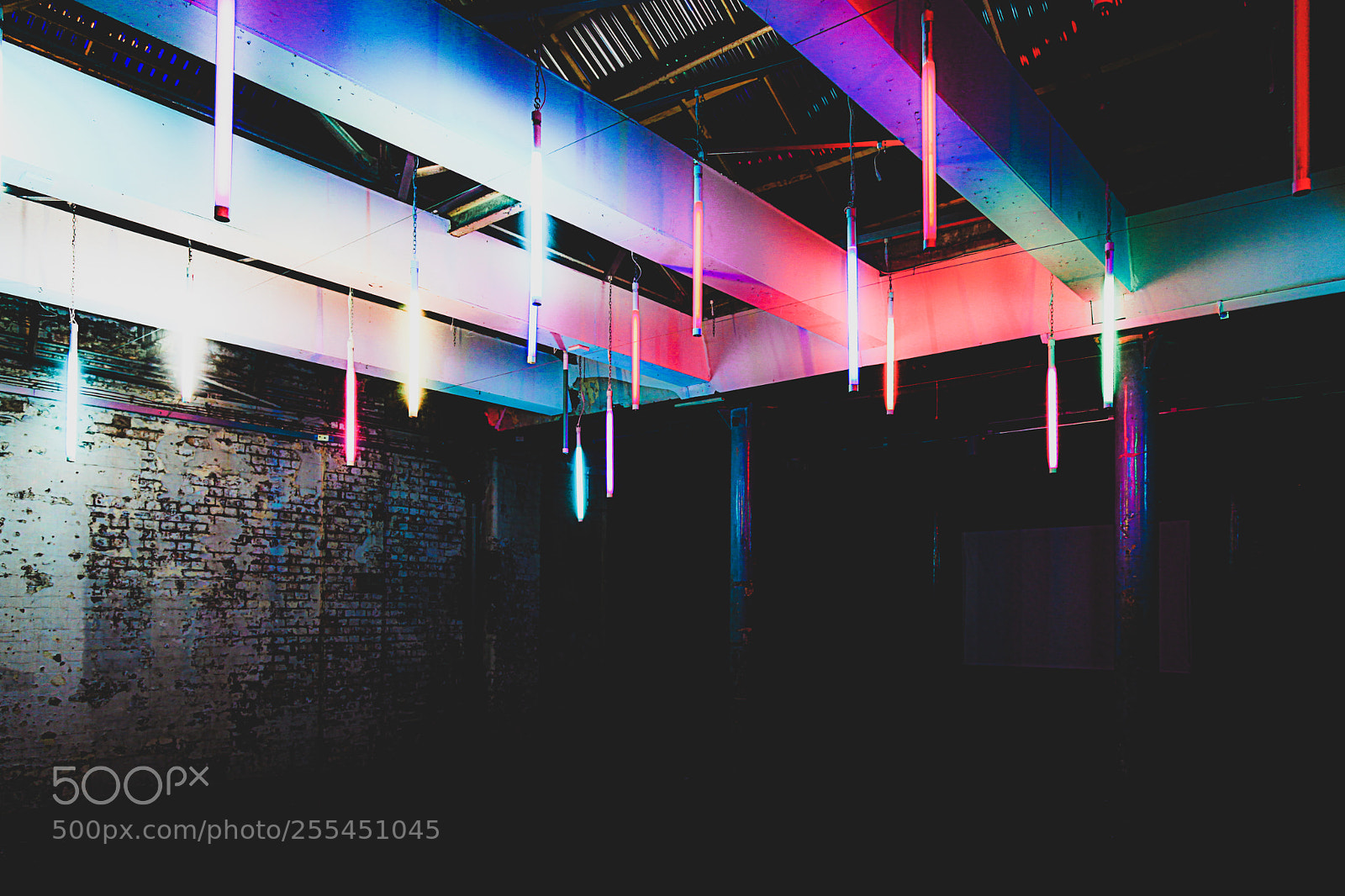 Canon EOS 5D Mark II sample photo. The doodle bar photography
