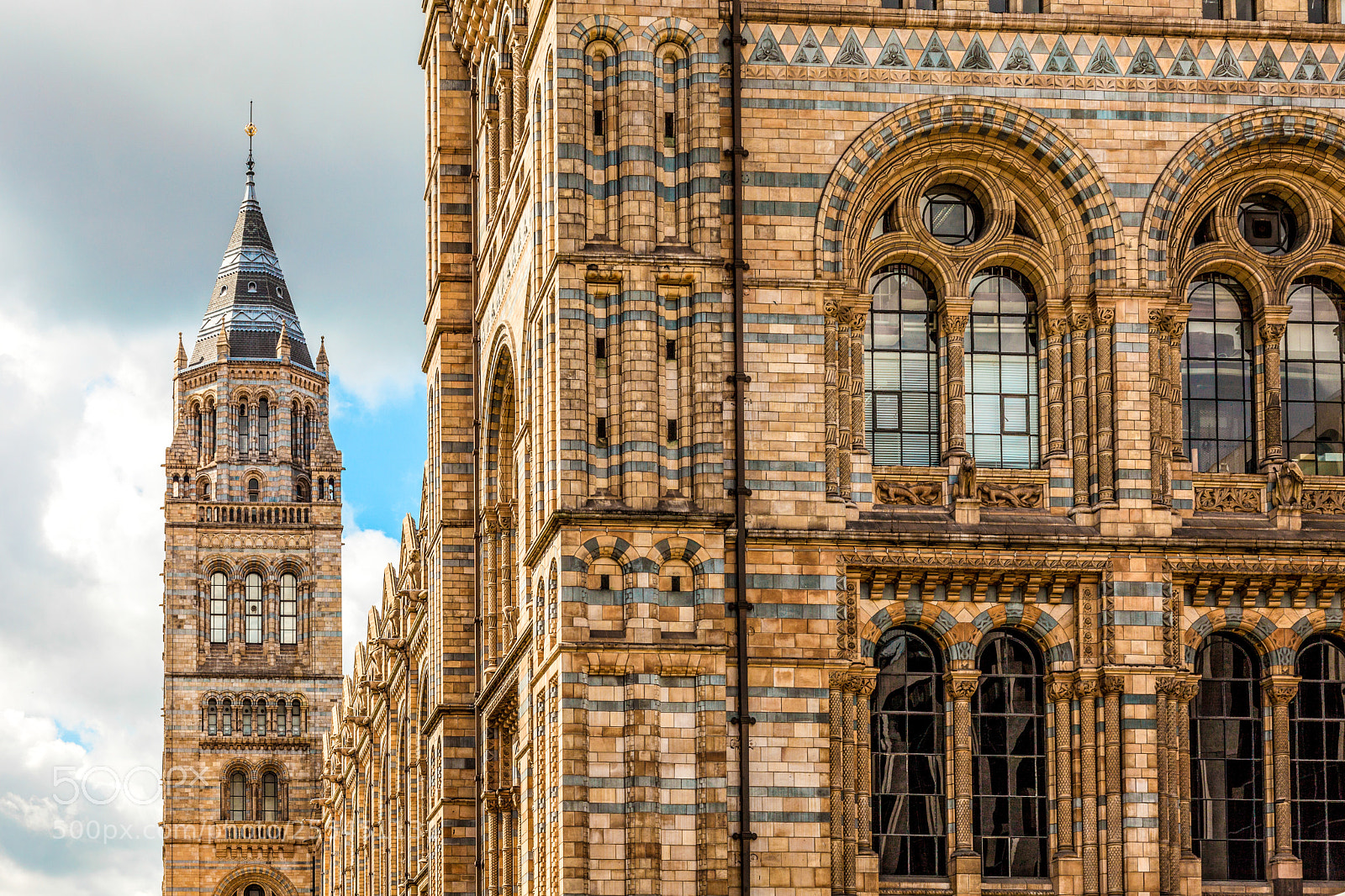 Canon EOS 5D Mark II sample photo. Natural history museum photography