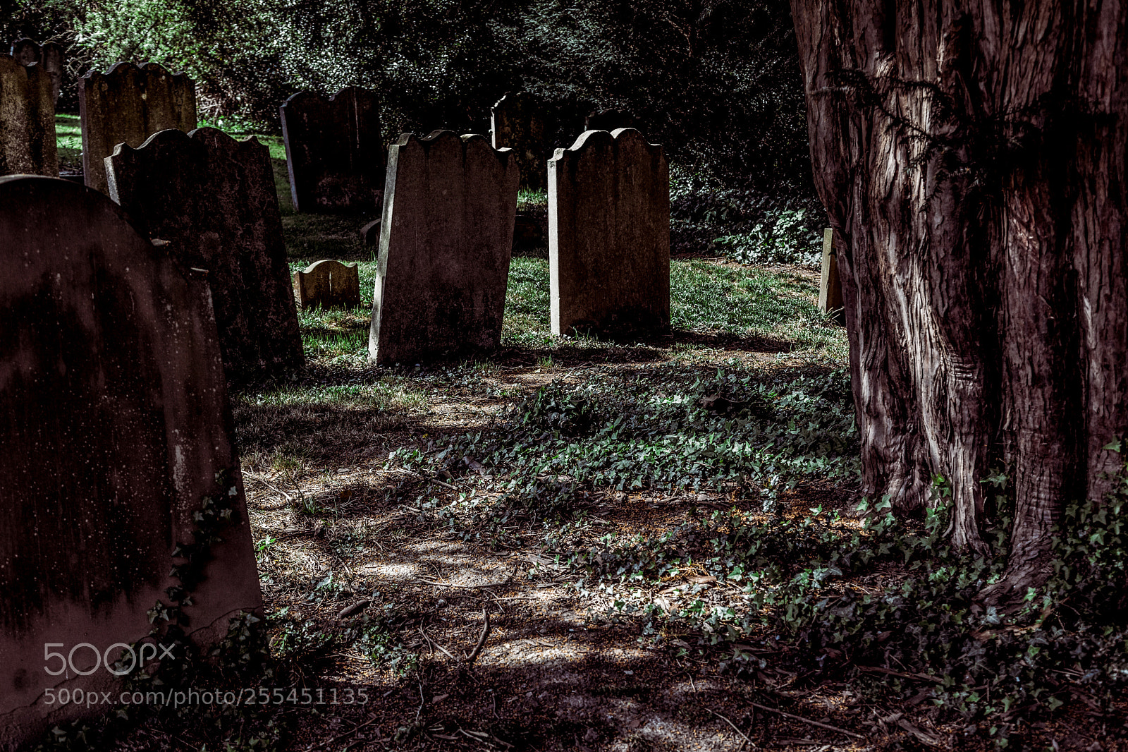 Canon EOS 5D Mark II sample photo. Graveyard photography