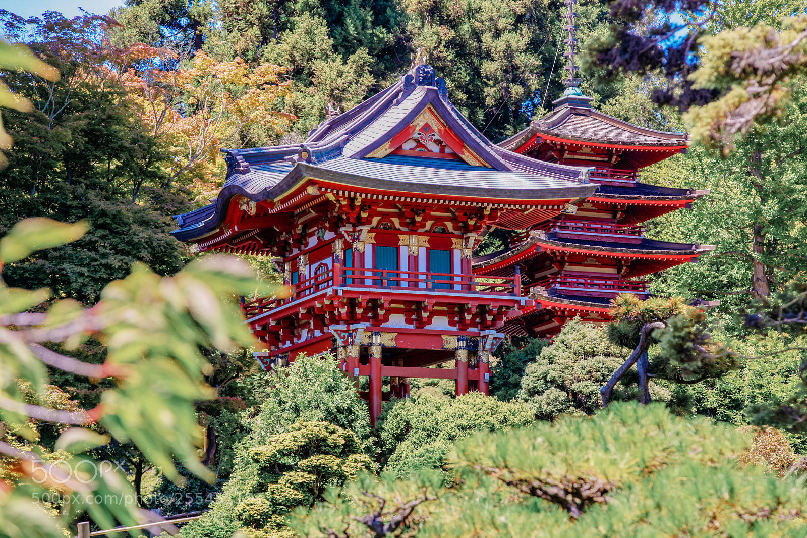 Canon EOS 5D Mark II sample photo. Japanese tea garden photography