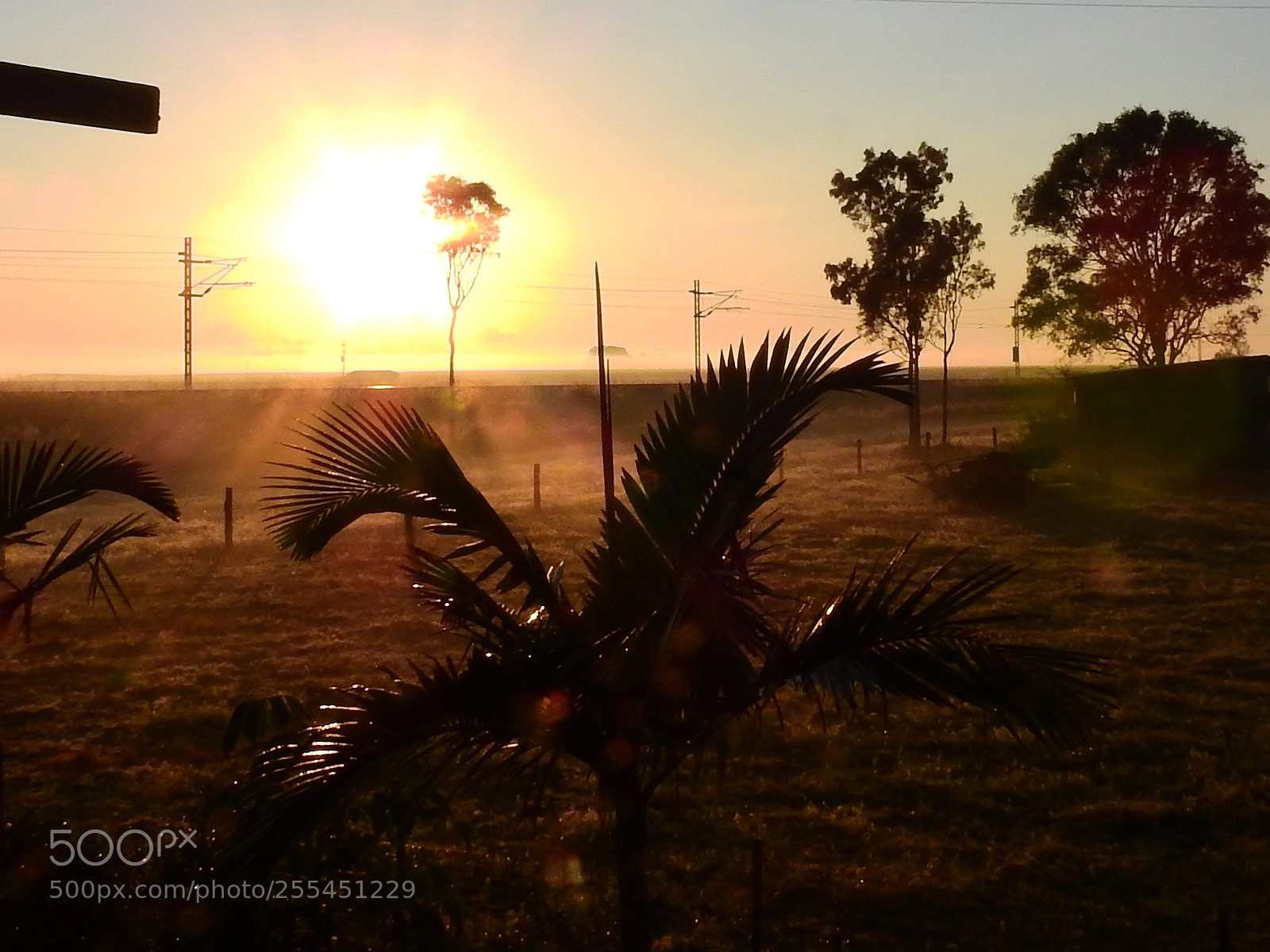 Nikon Coolpix P900 sample photo. Misty sunrise photography