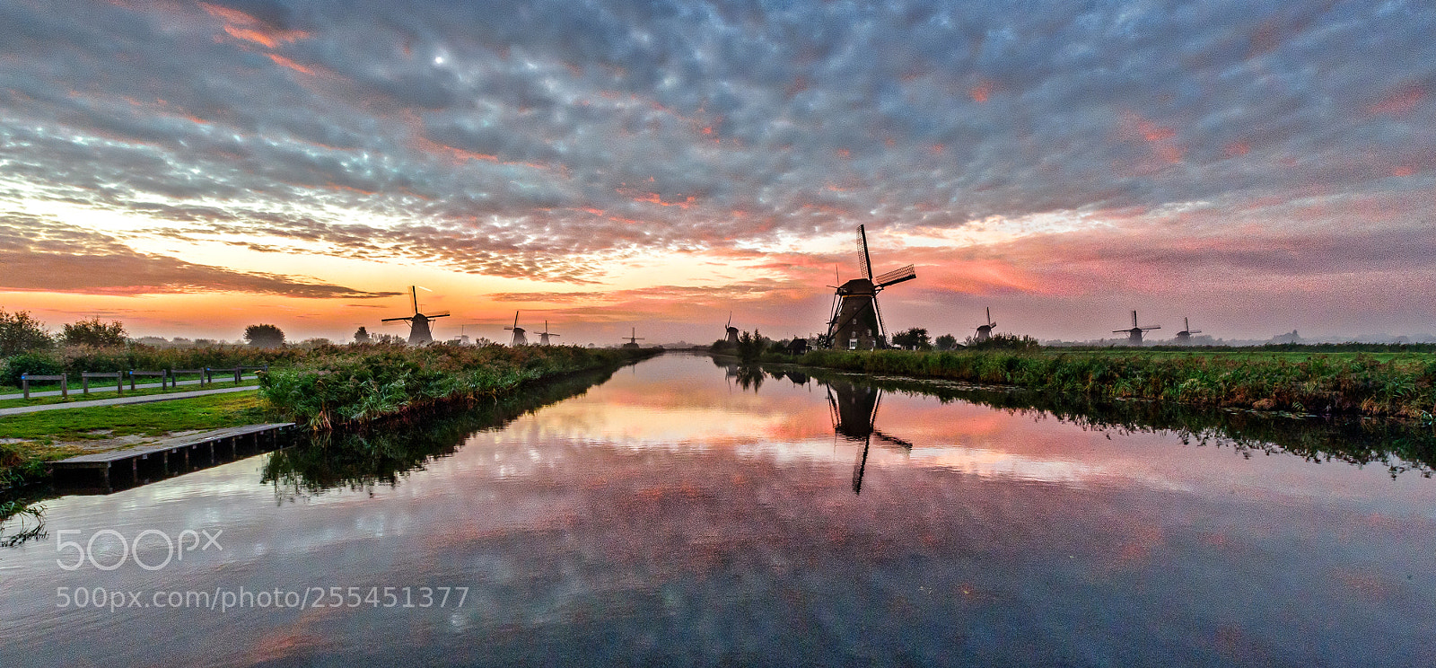 Nikon D4S sample photo. Walking snapshot kinderdijk netherlands ! photography