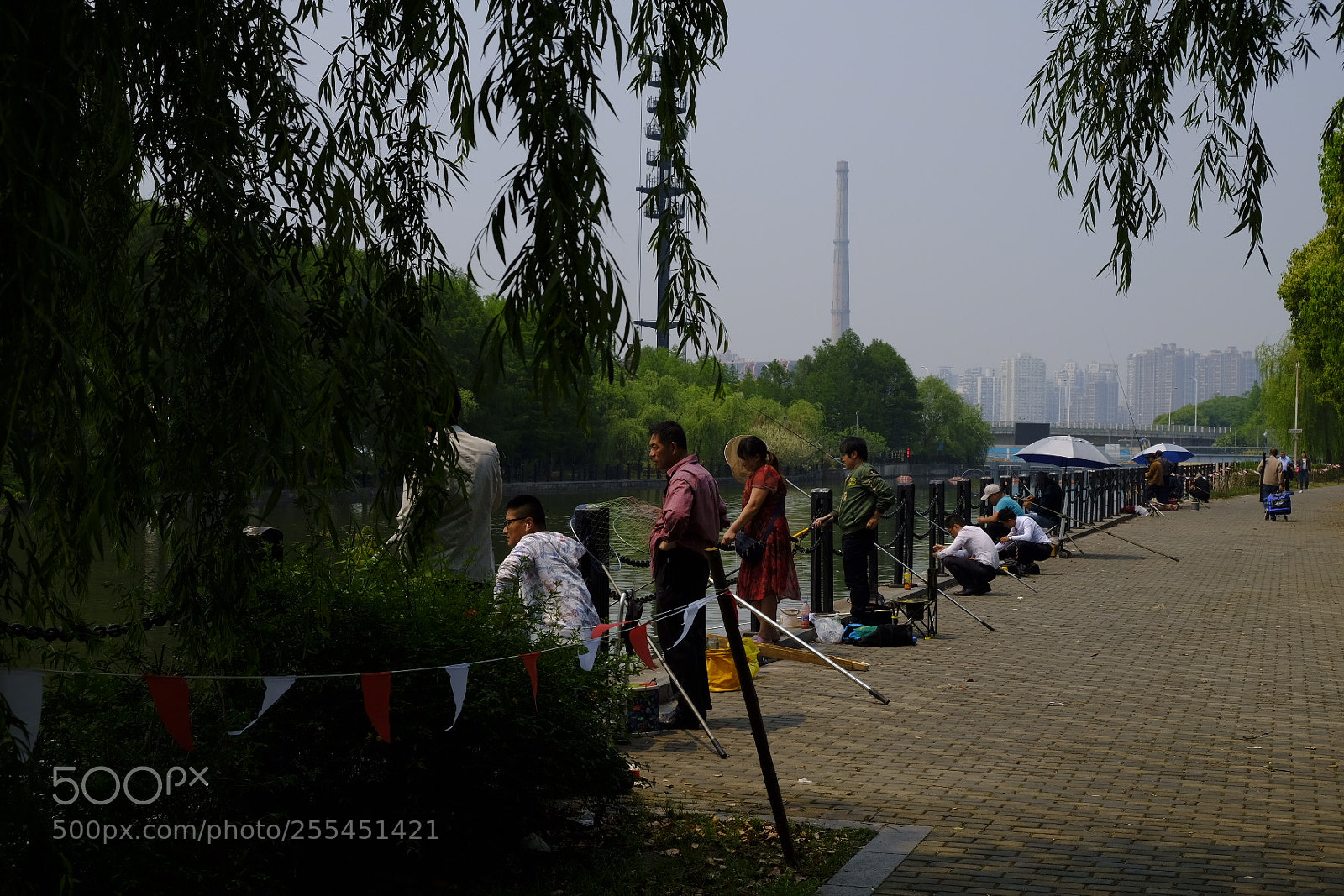 Fujifilm X-T20 sample photo. Untitled photography