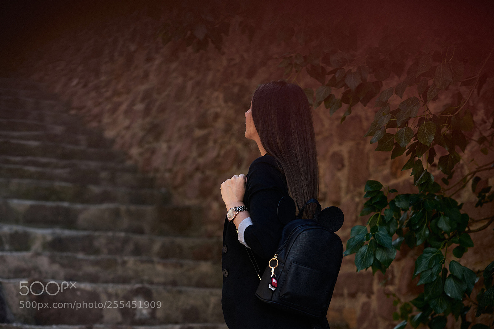 Sony a7 II sample photo. Untitled photography