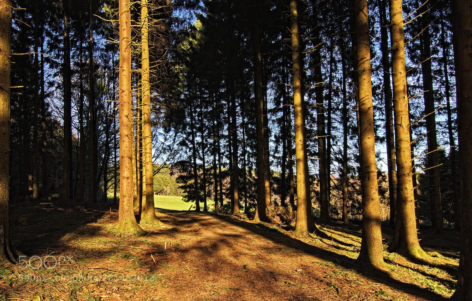 Canon EOS 7D sample photo. The edge of the photography