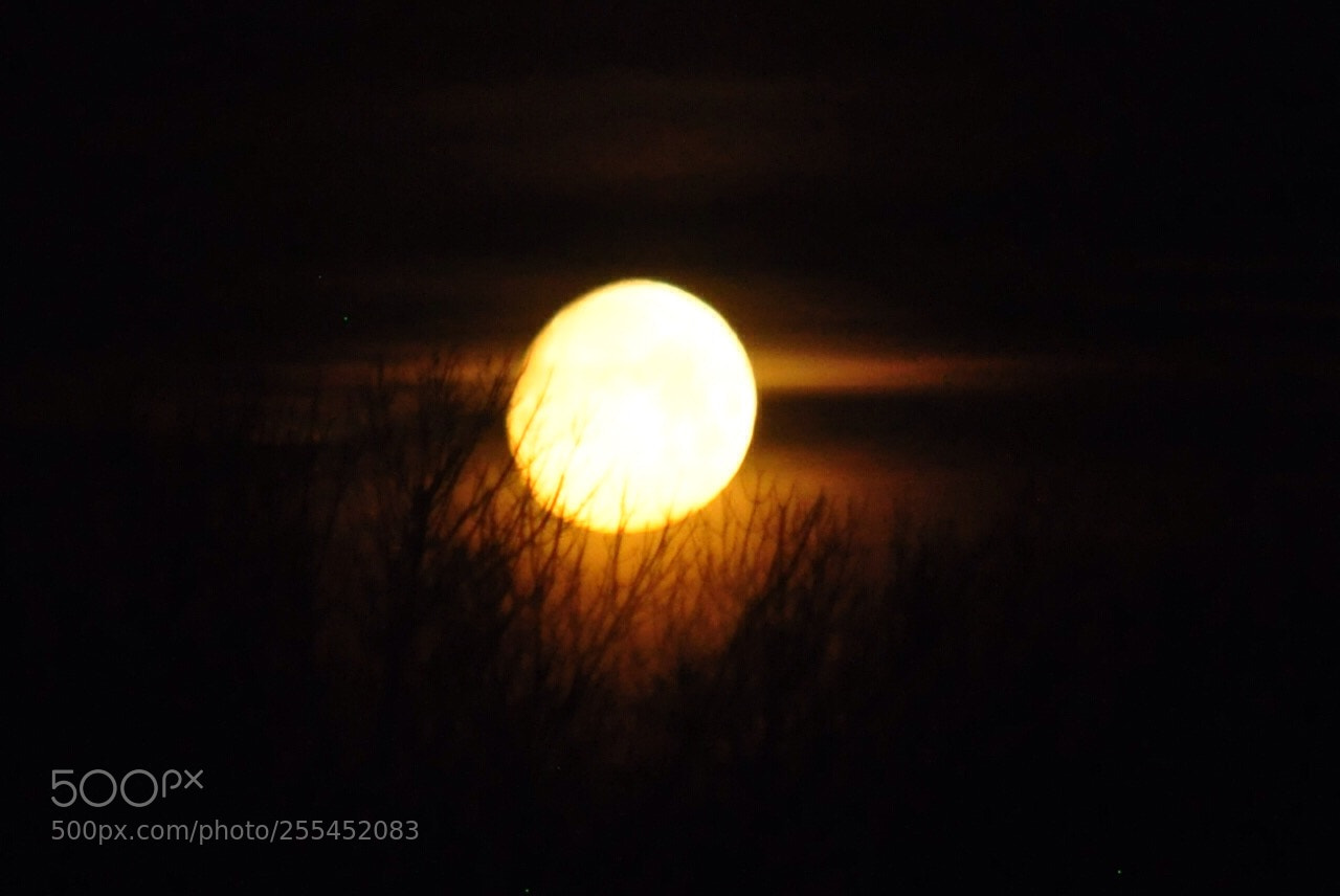 Nikon D5000 sample photo. Moon setting photography