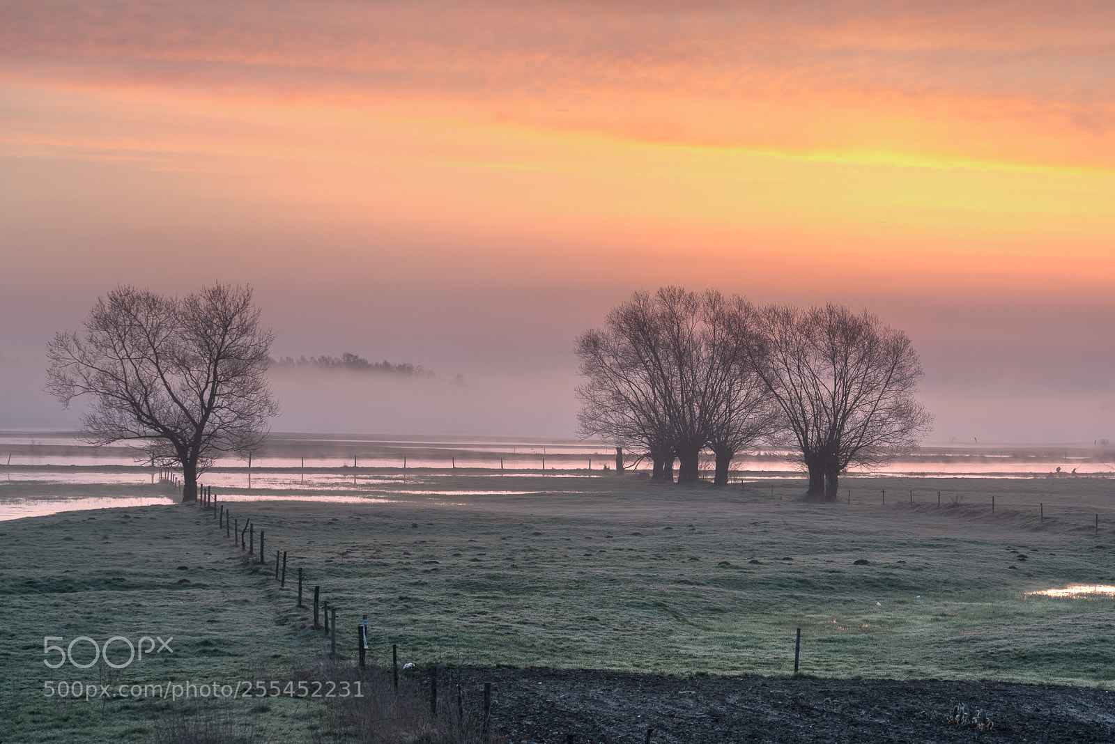 Sony a7R III sample photo. Before sunrise photography