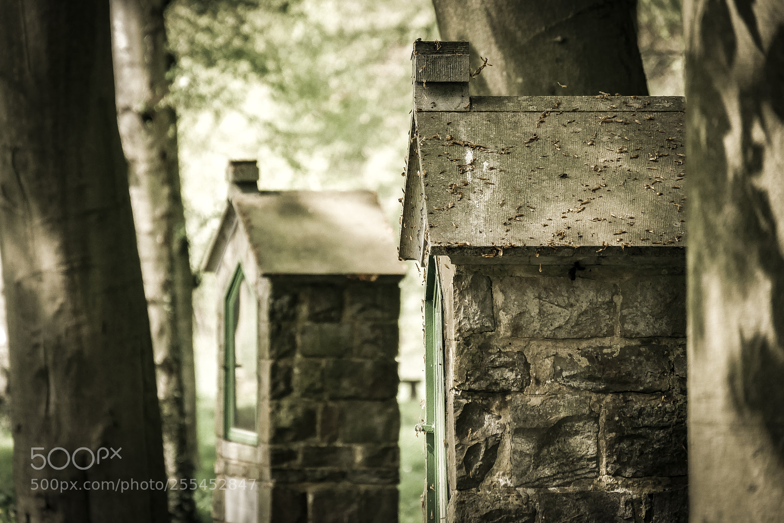 Panasonic Lumix DMC-GX85 (Lumix DMC-GX80 / Lumix DMC-GX7 Mark II) sample photo. Chapels in the woods photography