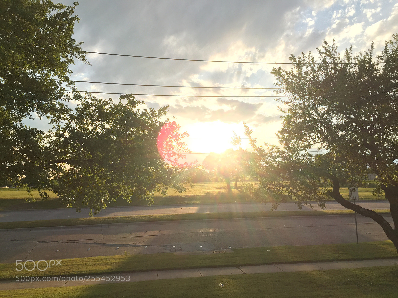 Apple iPhone 6 sample photo. Untitled photography