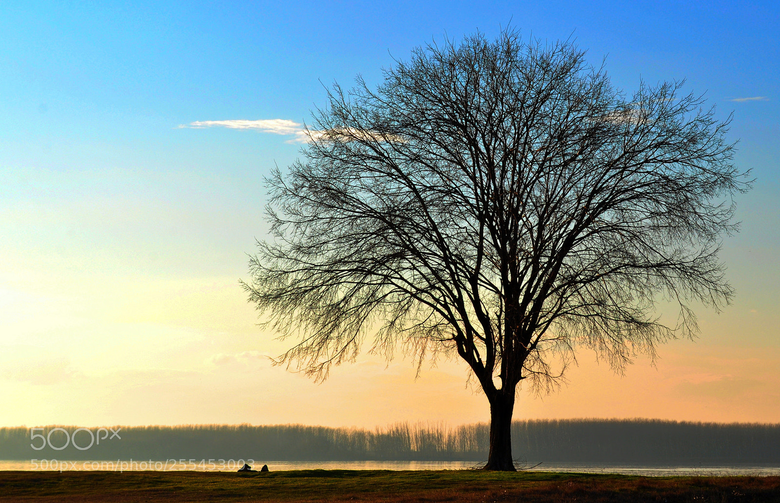 Nikon D5000 sample photo. A photography