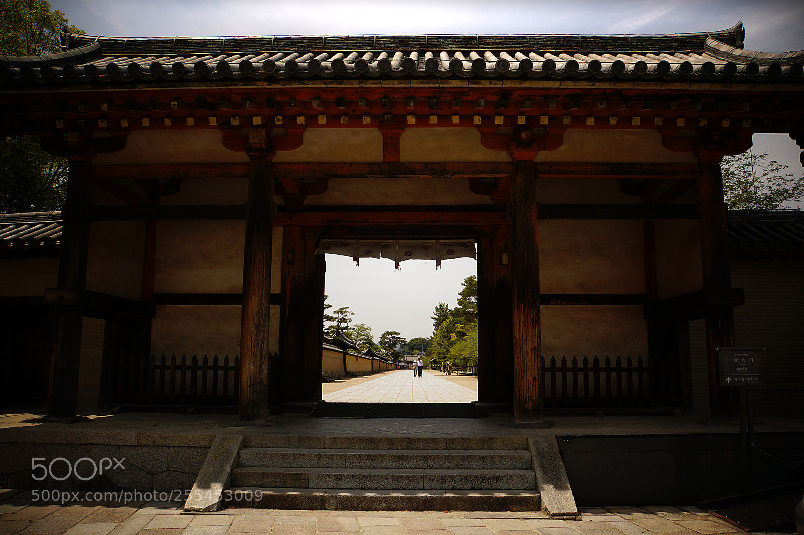 Sony a6000 sample photo. In nara photography