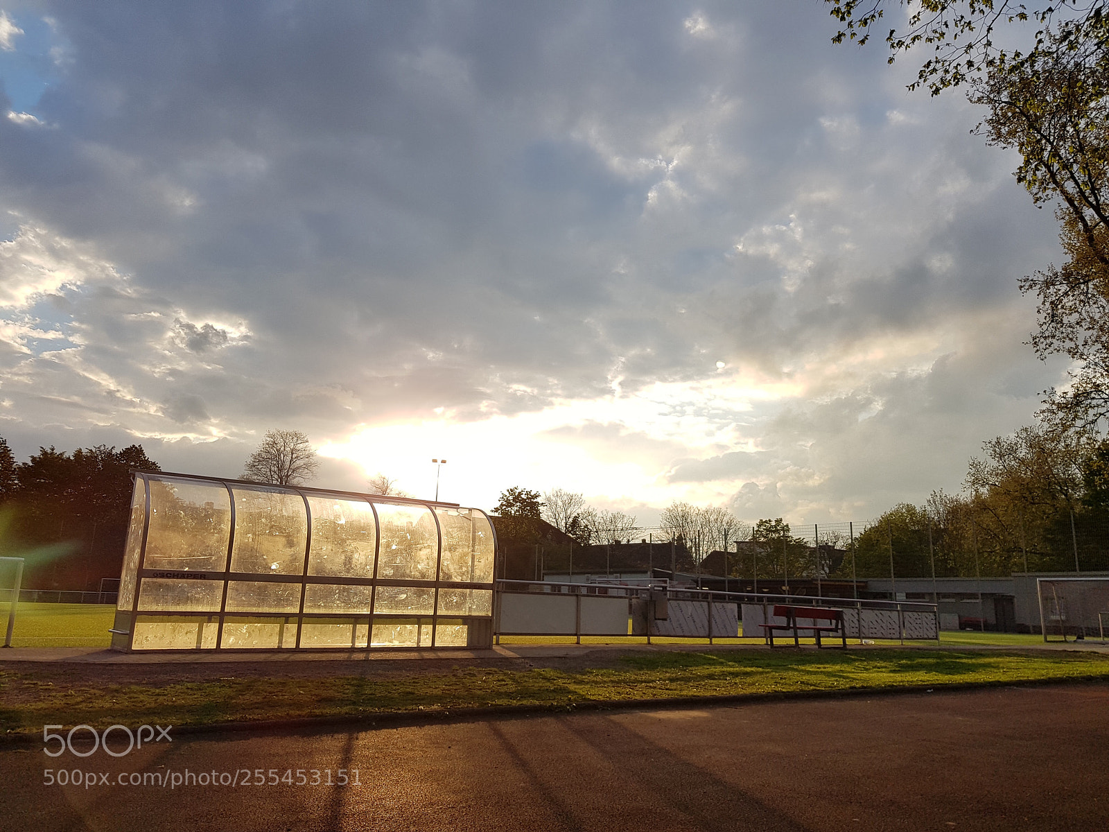 Samsung Galaxy S8+ sample photo. Untitled photography