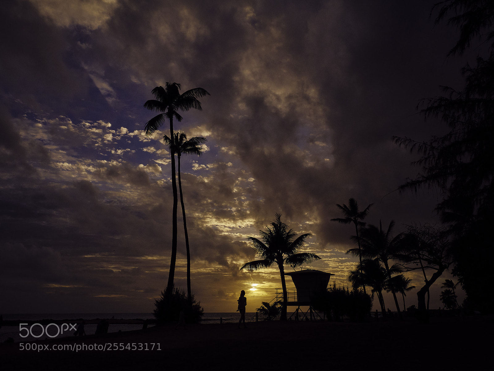 Panasonic Lumix DMC-G85 (Lumix DMC-G80) sample photo. Hawaiian sunsets 3 photography