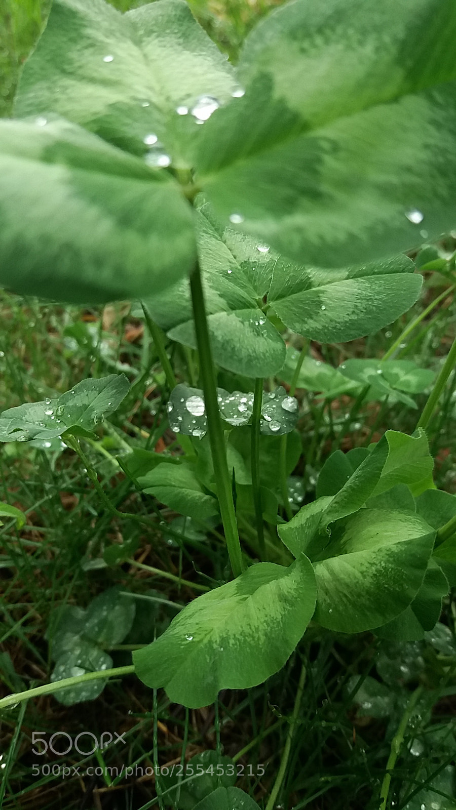 Samsung Galaxy J5(2016) sample photo. Untitled photography