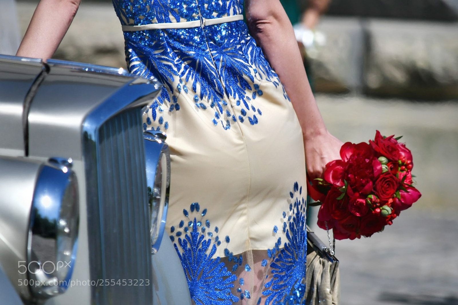 Nikon D500 sample photo. Untitled photography