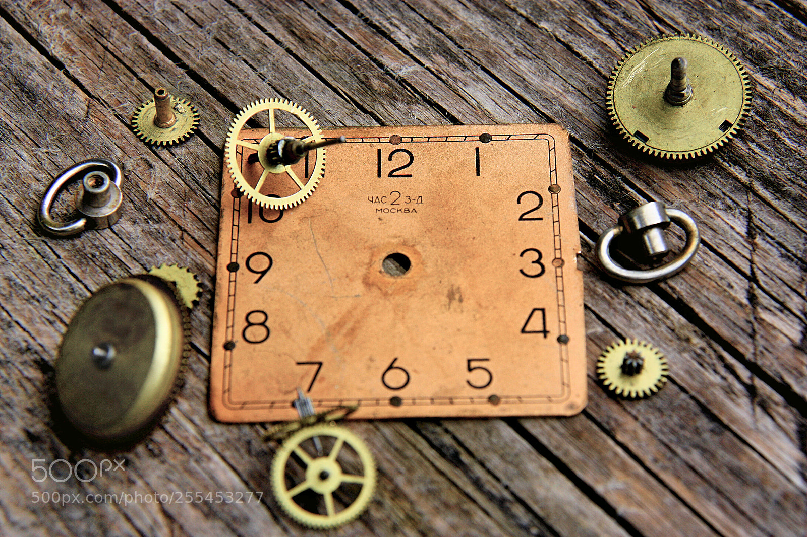 Canon EOS 450D (EOS Rebel XSi / EOS Kiss X2) sample photo. Past present perfect photography
