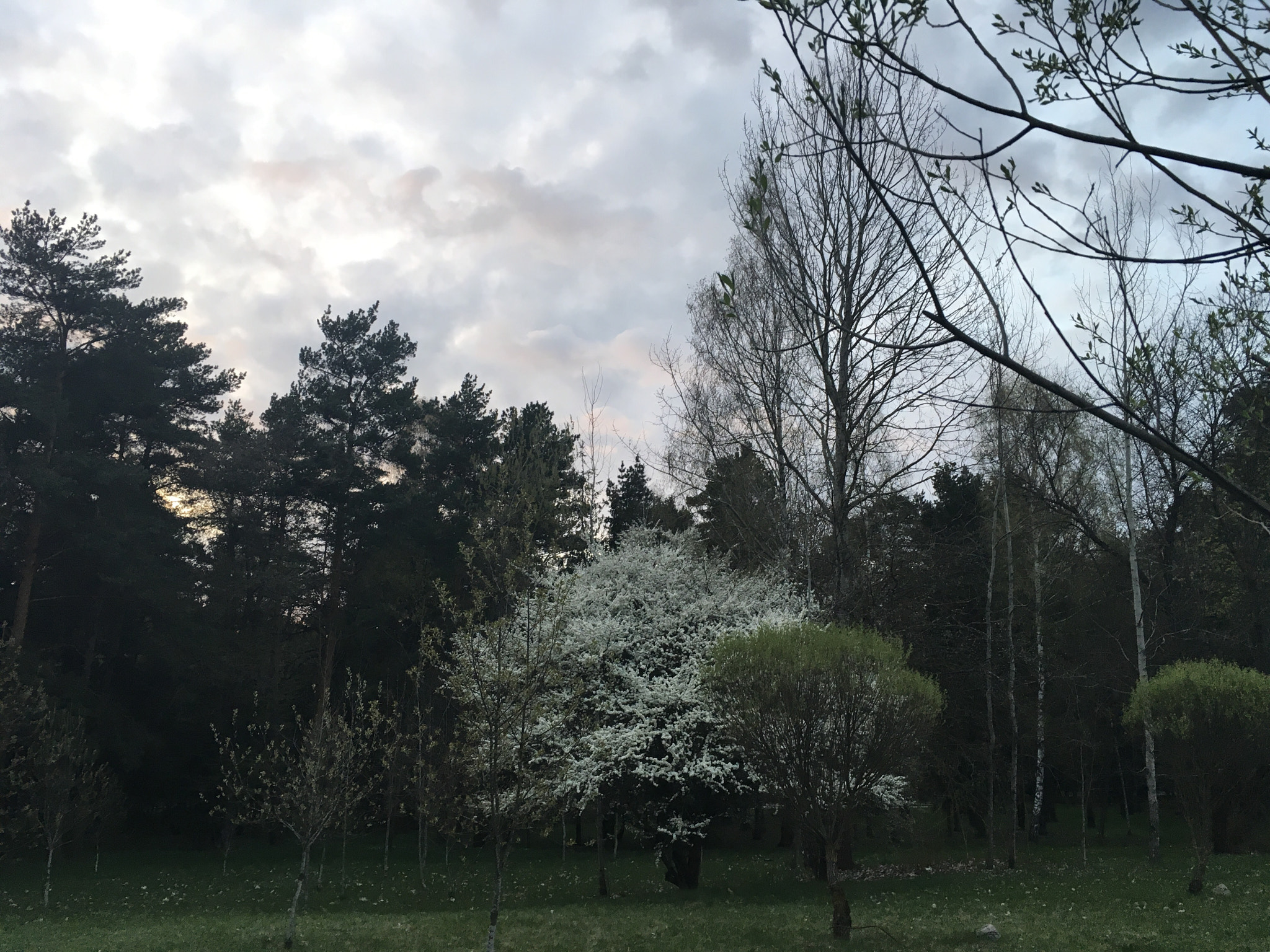 Apple iPad Pro sample photo. Parks of minsk photography