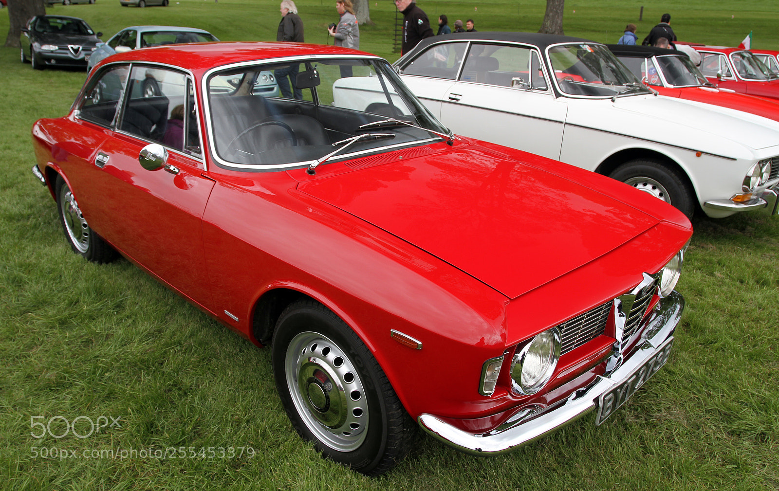 Canon EOS 7D sample photo. National alfa weekend, boughton photography