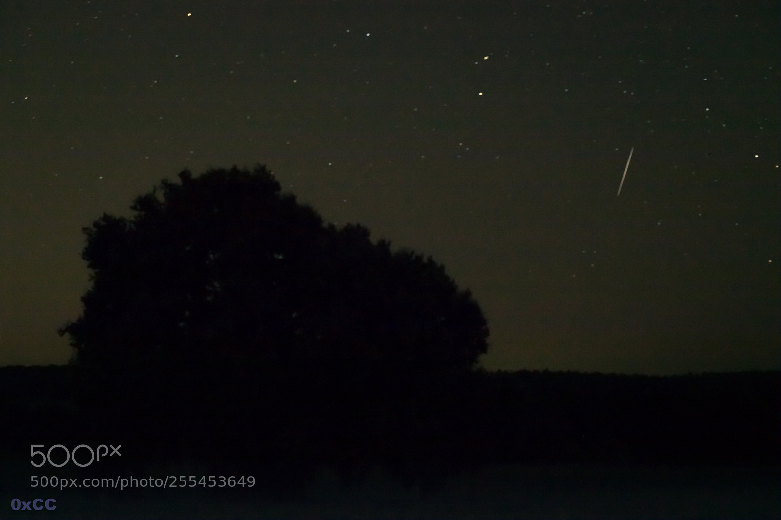 Canon EOS 7D Mark II sample photo. Shooting star photography