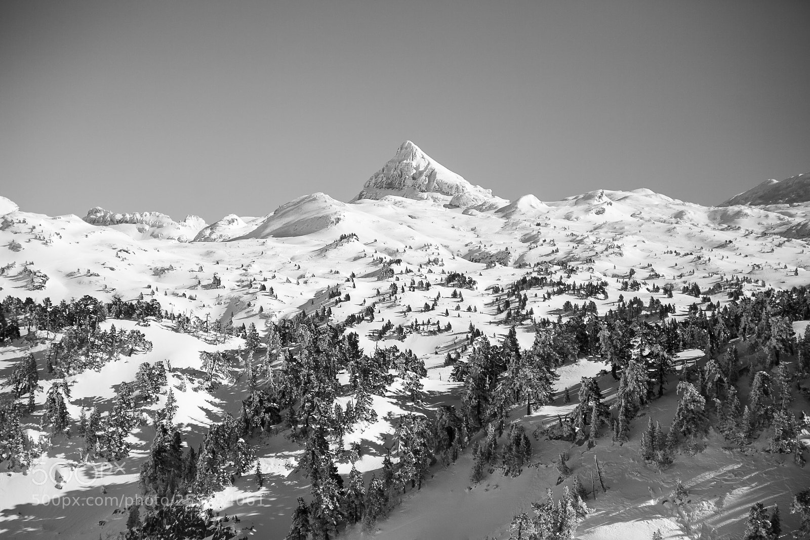 Canon EOS 5D Mark II sample photo. Belagua...navarra iv photography