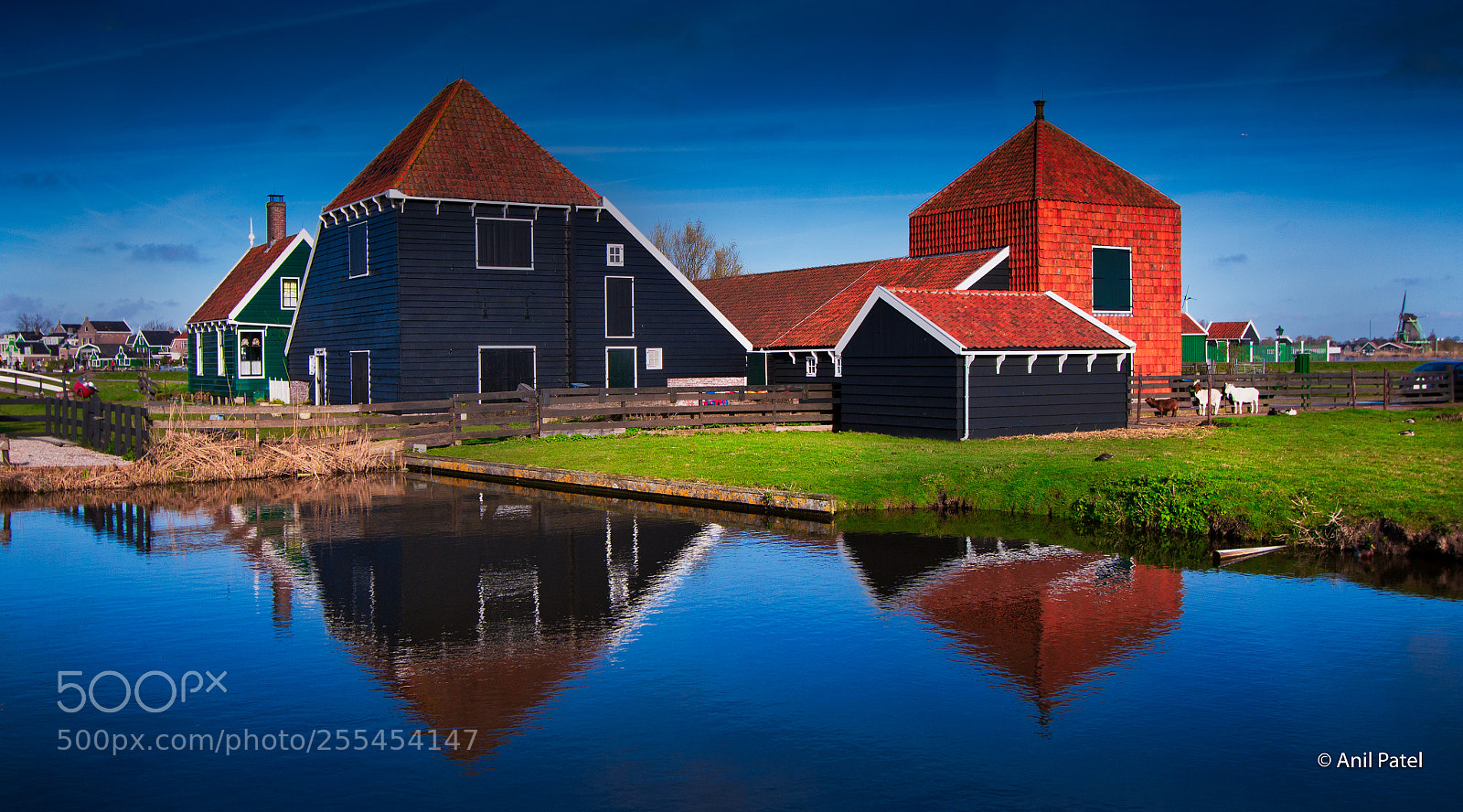Canon EOS 70D sample photo. Rural dutch scenery...  netherlands photography