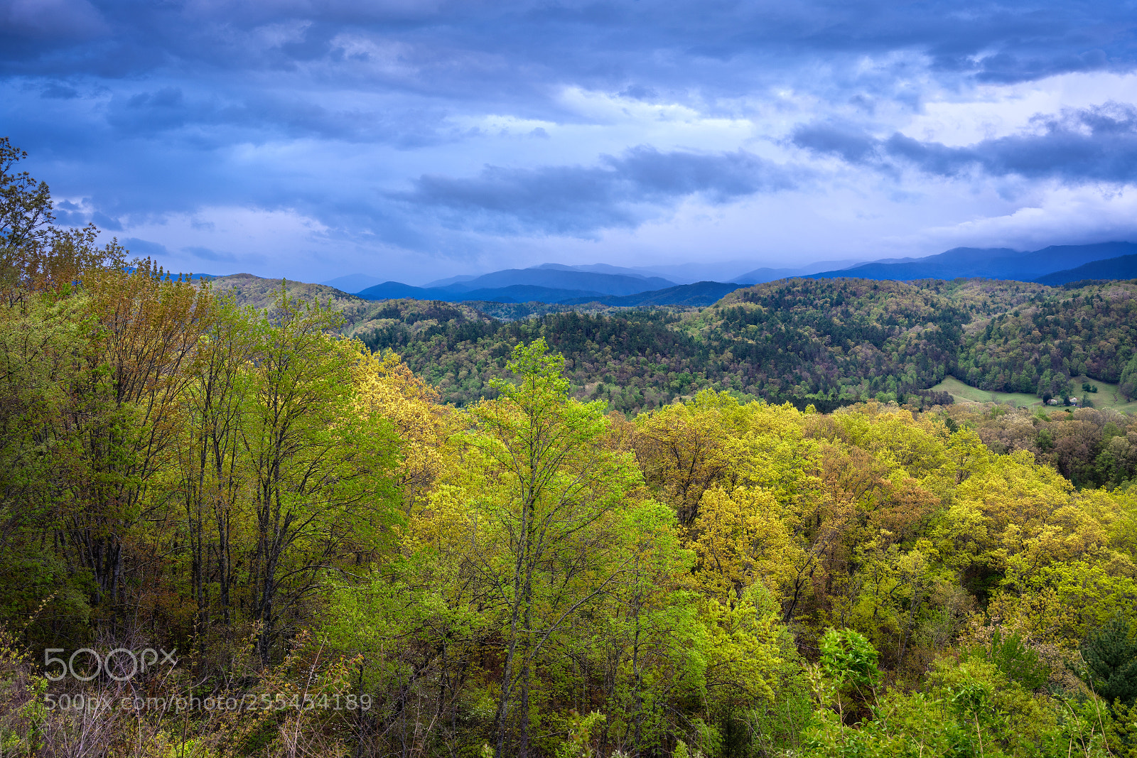 Sony a7R III sample photo. Gathering spring storm photography