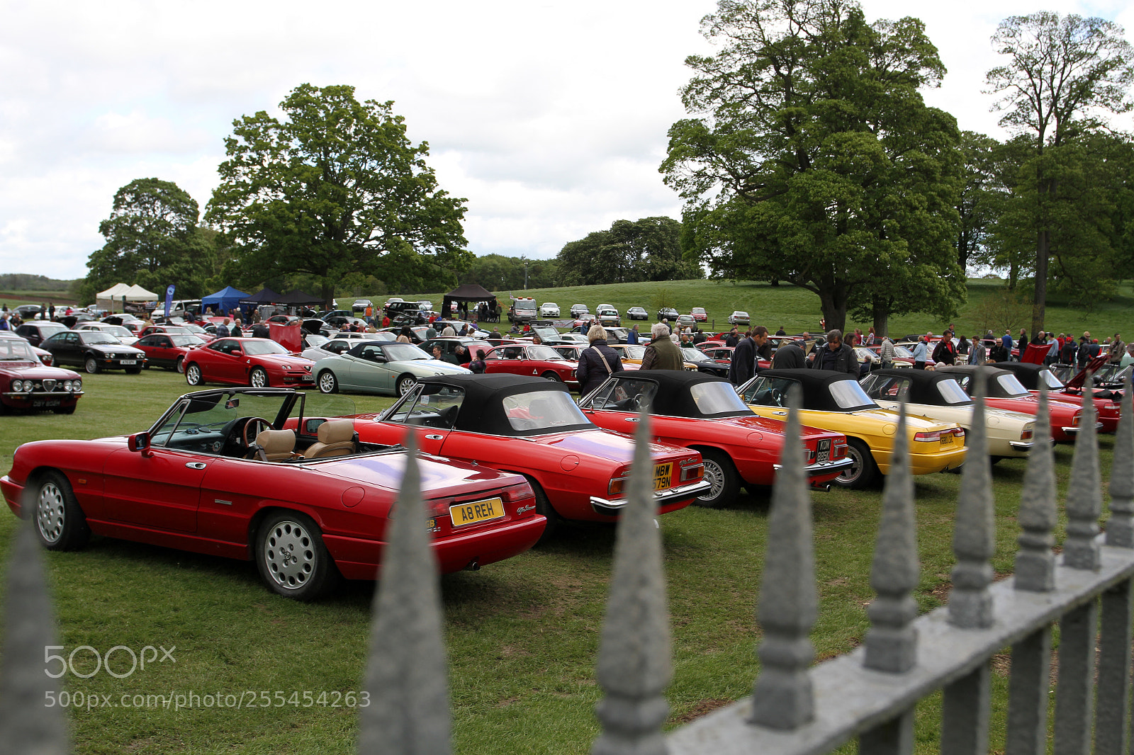 Canon EOS 7D sample photo. National alfa weekend, boughton photography