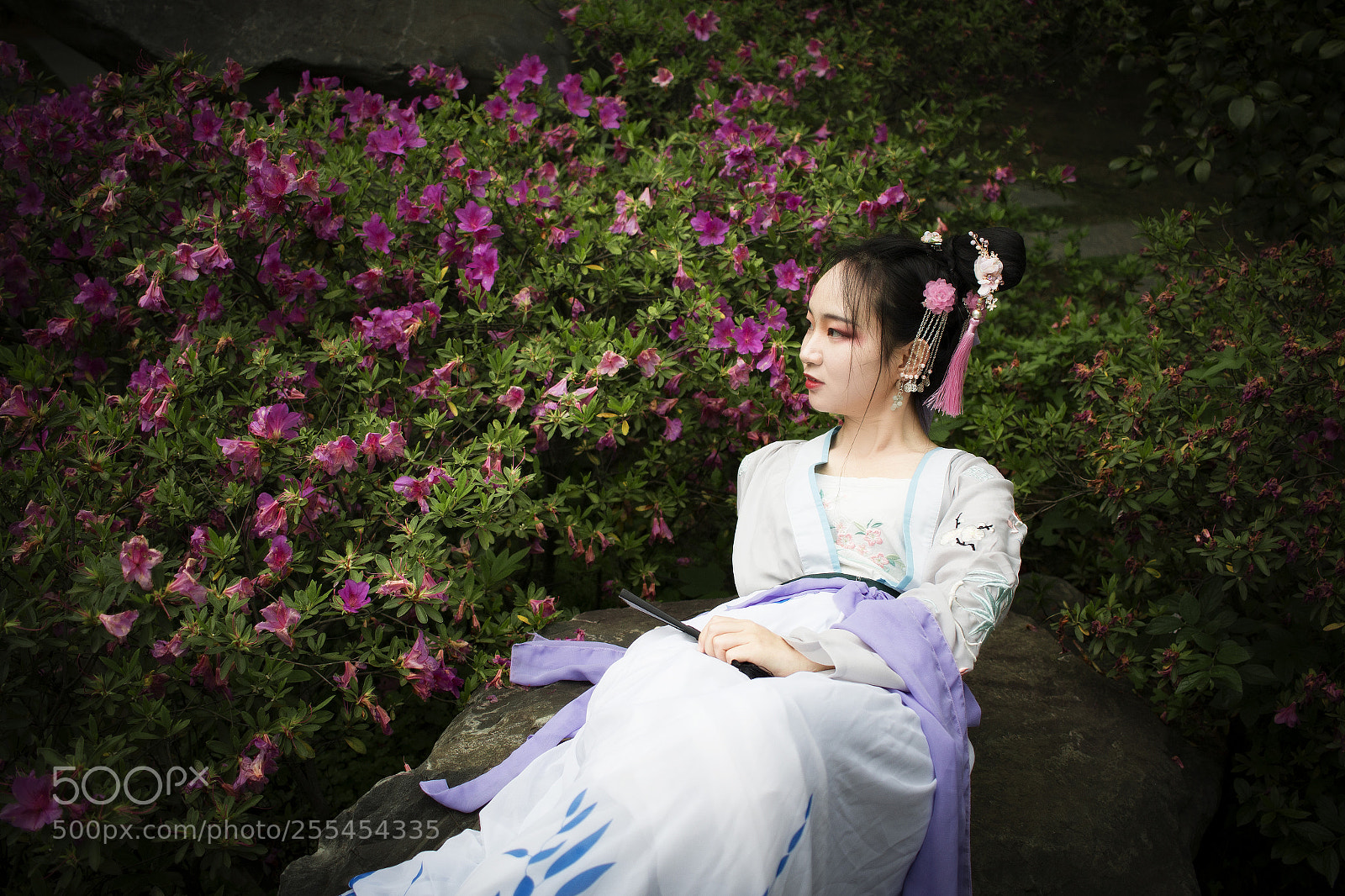 Canon EOS 70D sample photo. Untitled photography