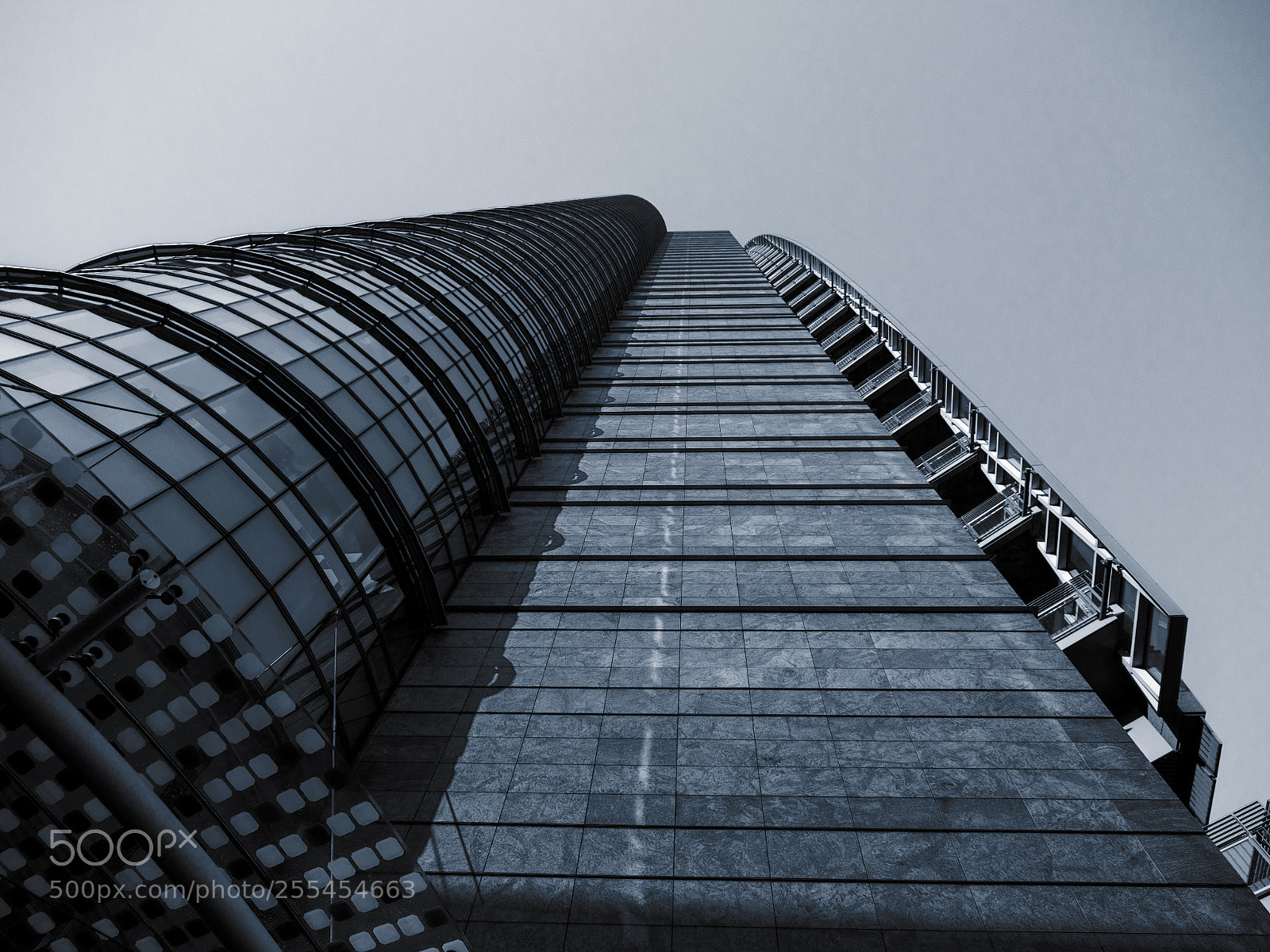 Olympus OM-D E-M5 II sample photo. Up to the sky photography