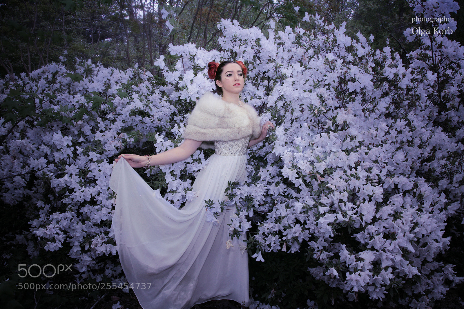 Canon EOS 5D sample photo. Spring photography