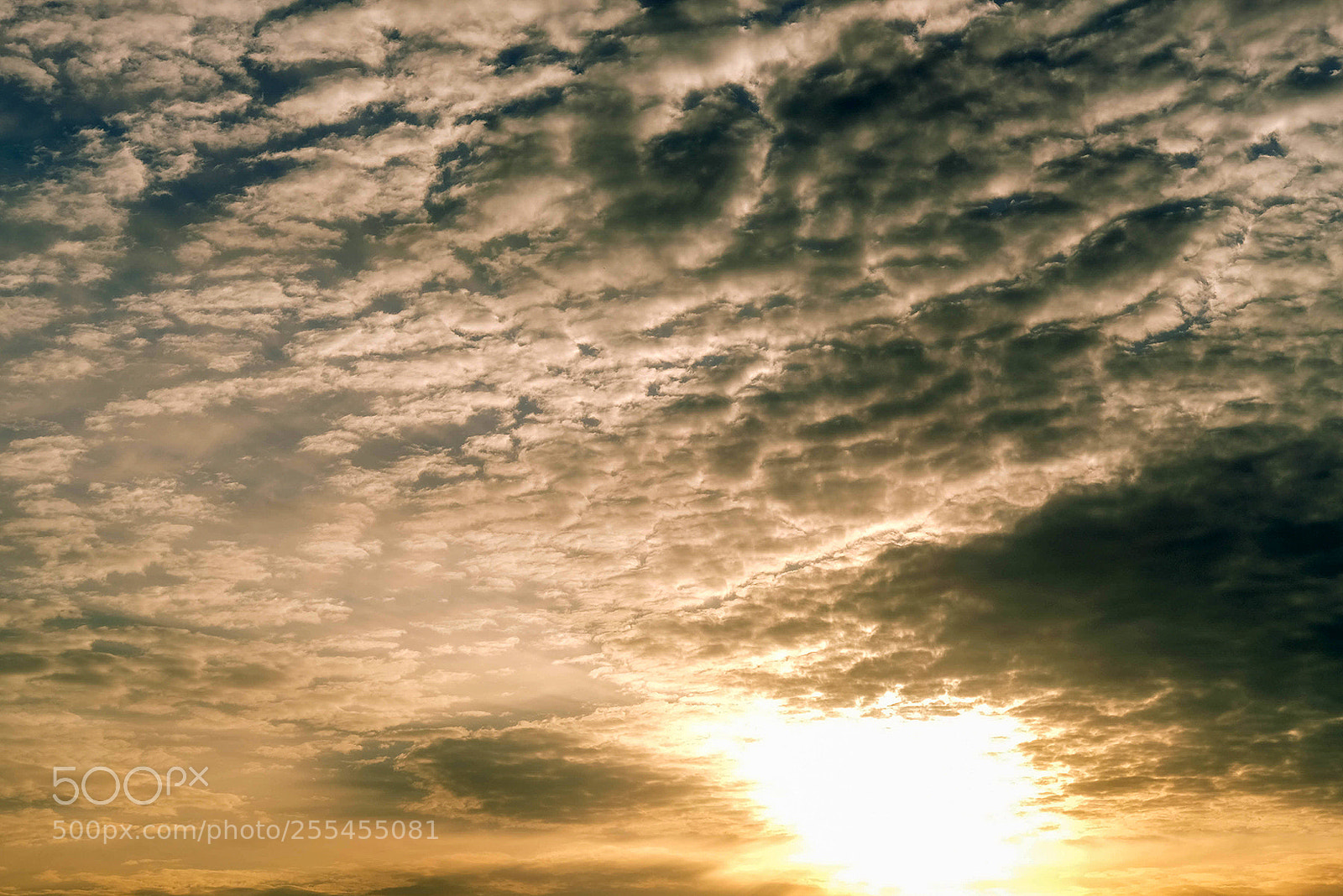 Fujifilm X-T2 sample photo. My morning today photography
