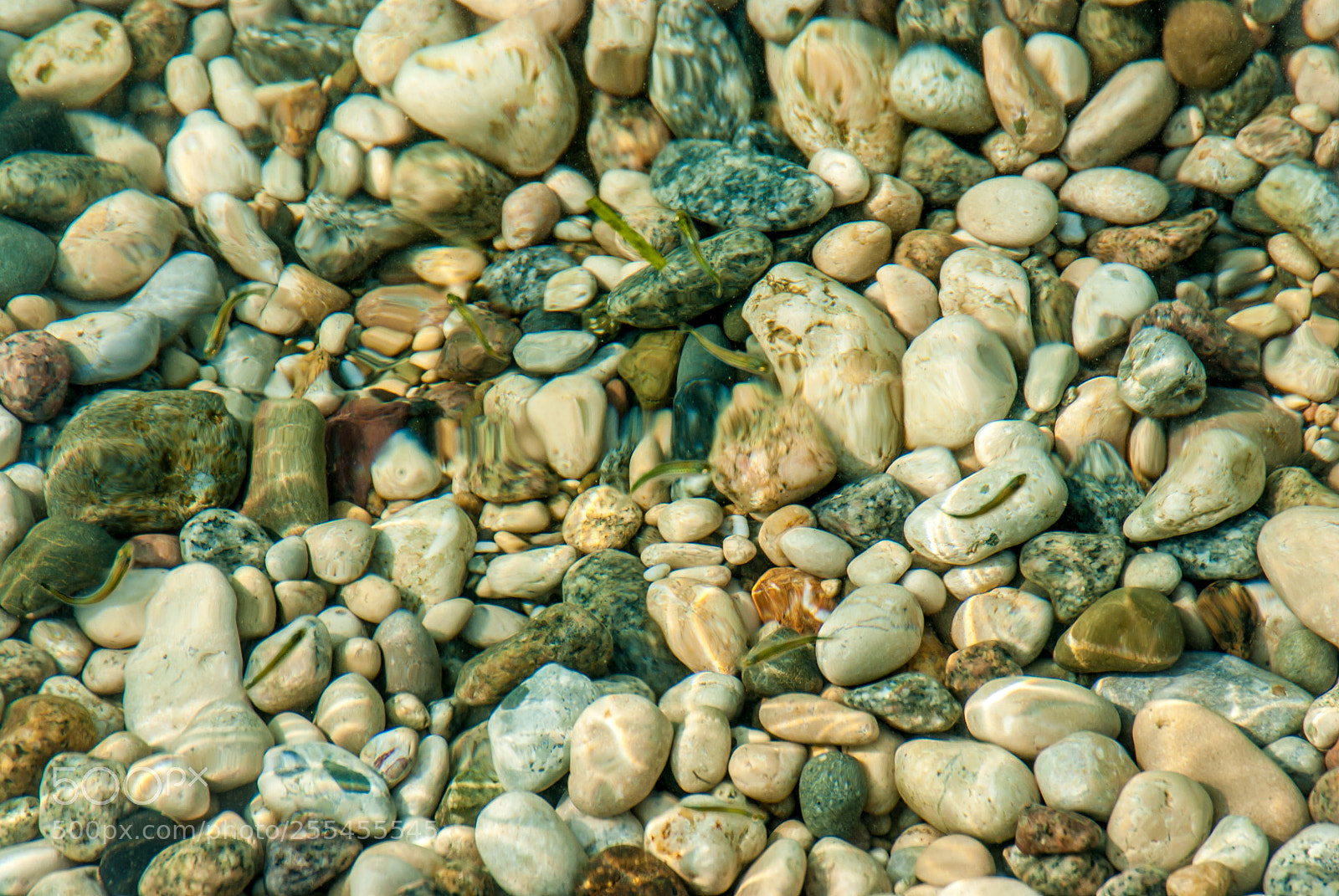 Nikon D200 sample photo. Pebbles photography