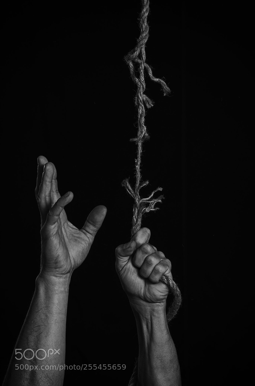 Nikon D5100 sample photo. Hope. photography