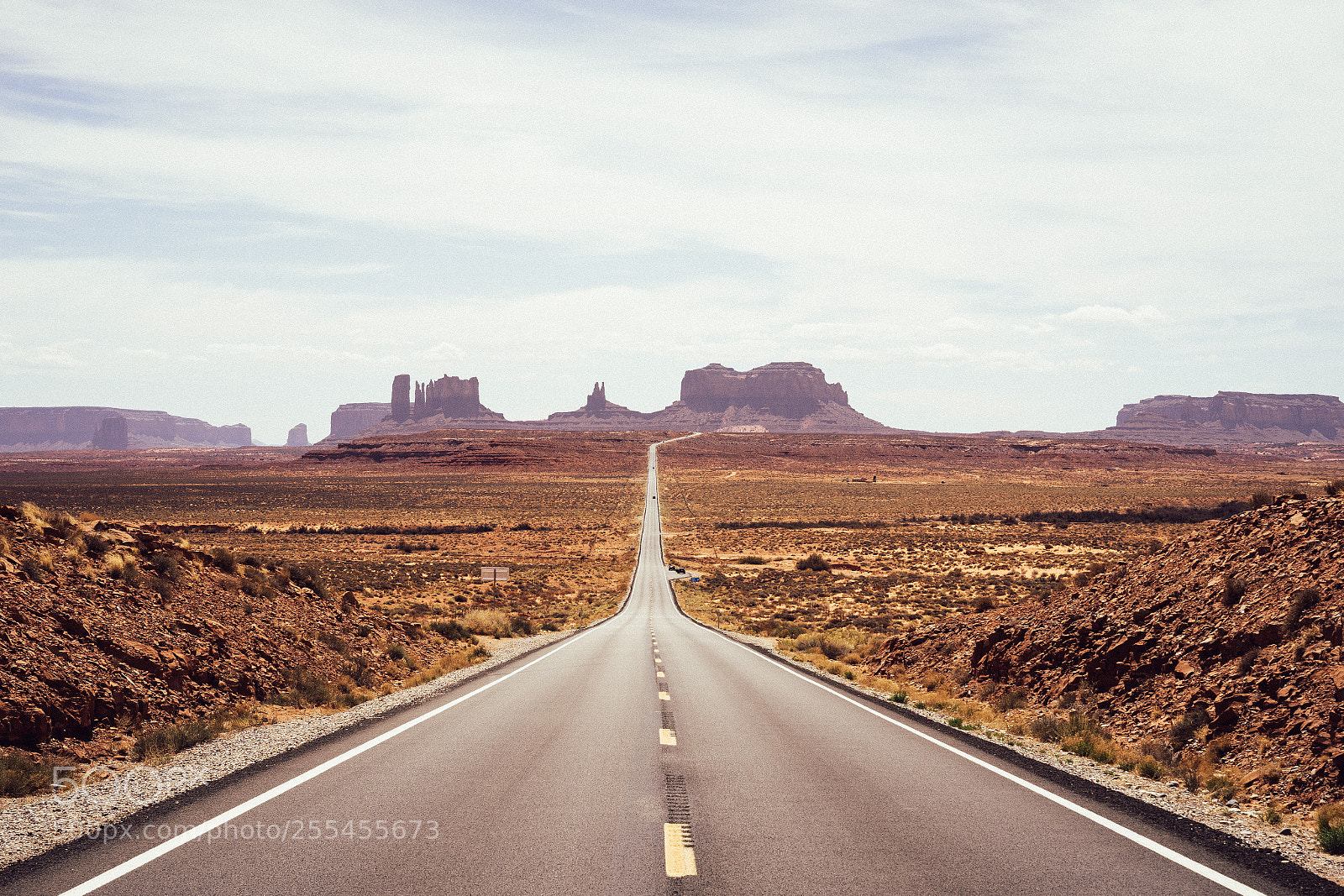 Sony a7 sample photo. Roadrunner photography