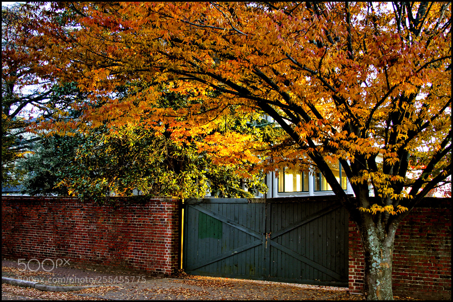Canon EOS 7D sample photo. What's that secret your photography