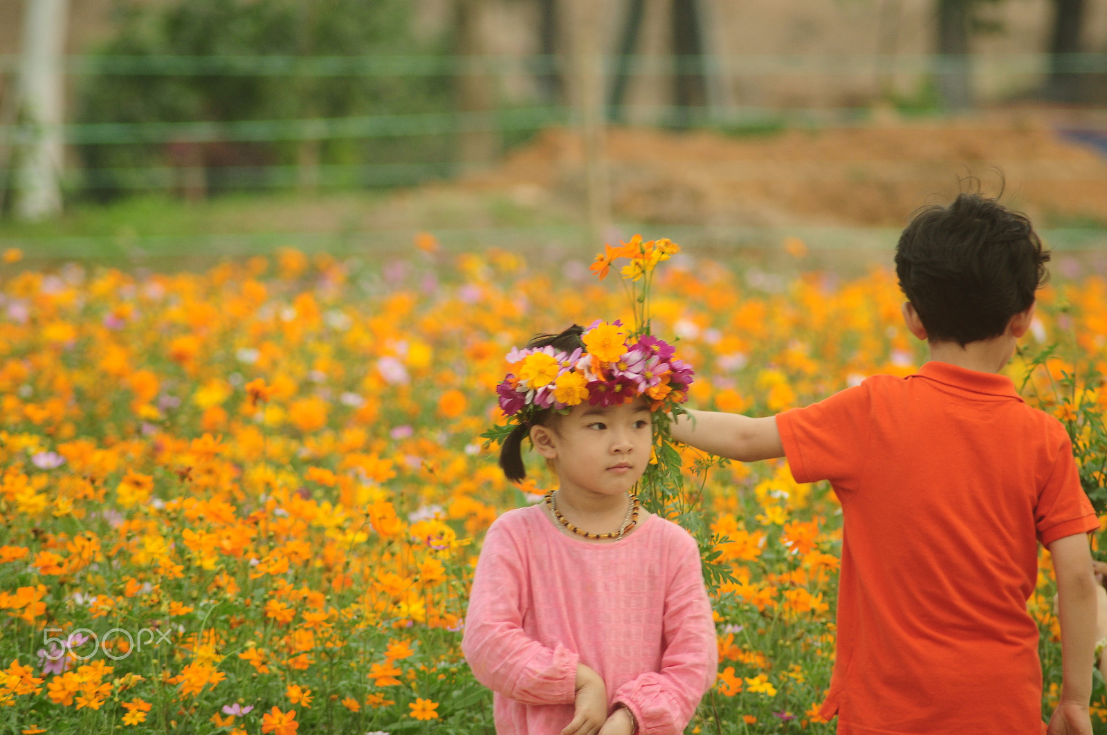 AF Zoom-Nikkor 70-300mm f/4-5.6D ED sample photo. Children photography