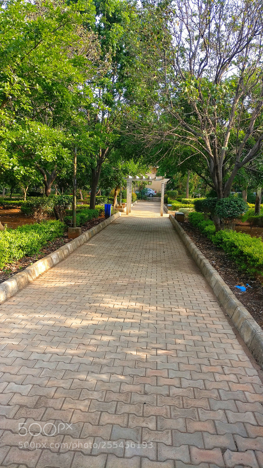 OnePlus A3003 sample photo. Untitled photography