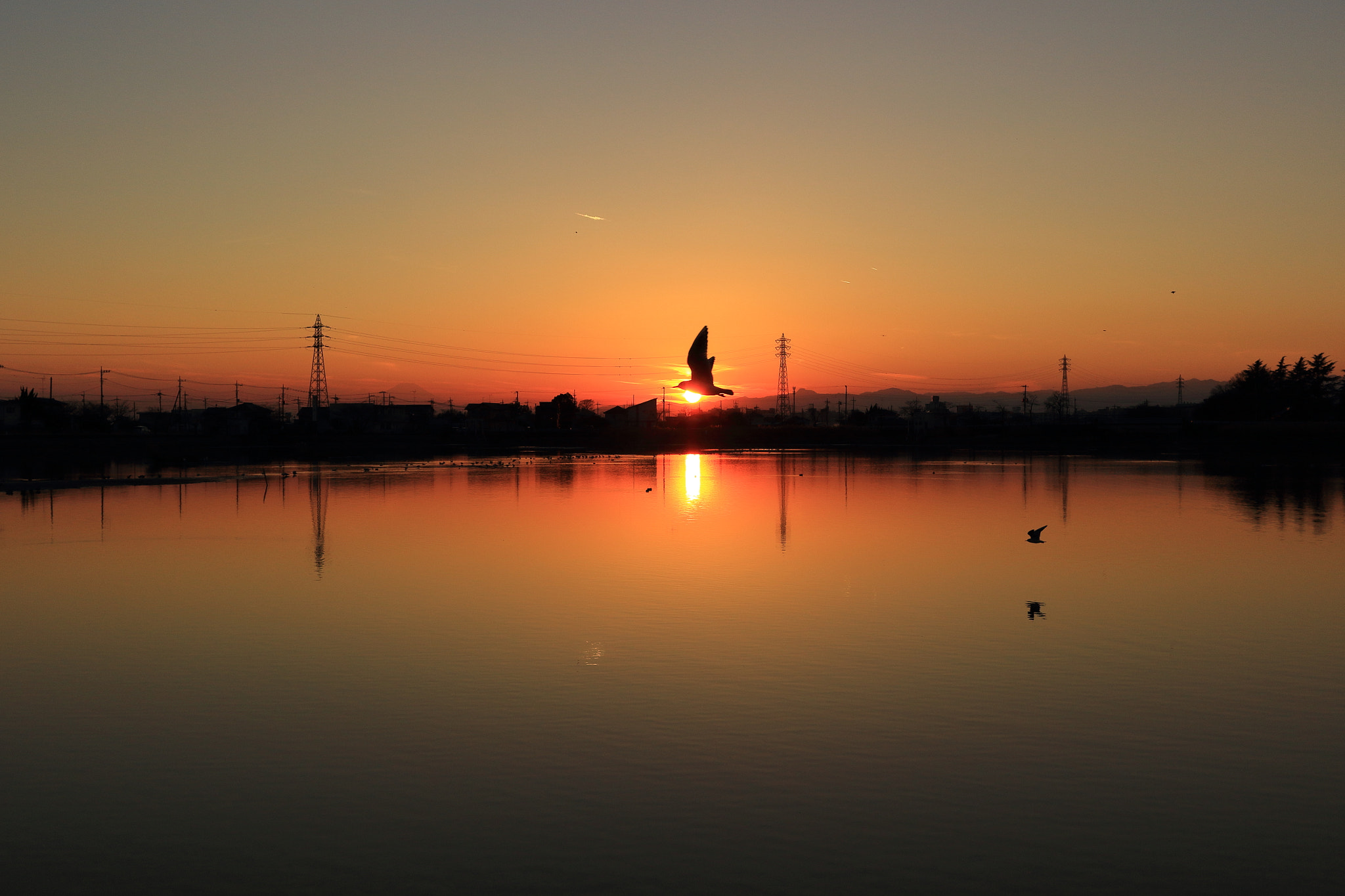 Canon EOS 100D (EOS Rebel SL1 / EOS Kiss X7) sample photo. A bird is flying at sunset sky photography
