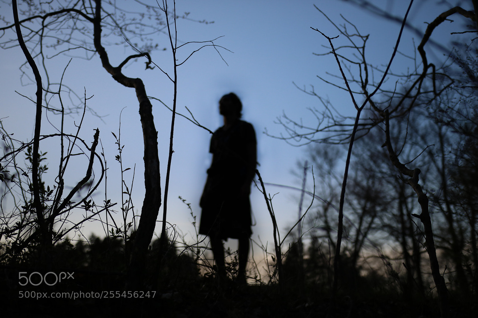 Canon EOS 750D (EOS Rebel T6i / EOS Kiss X8i) sample photo. Silhouettes photography