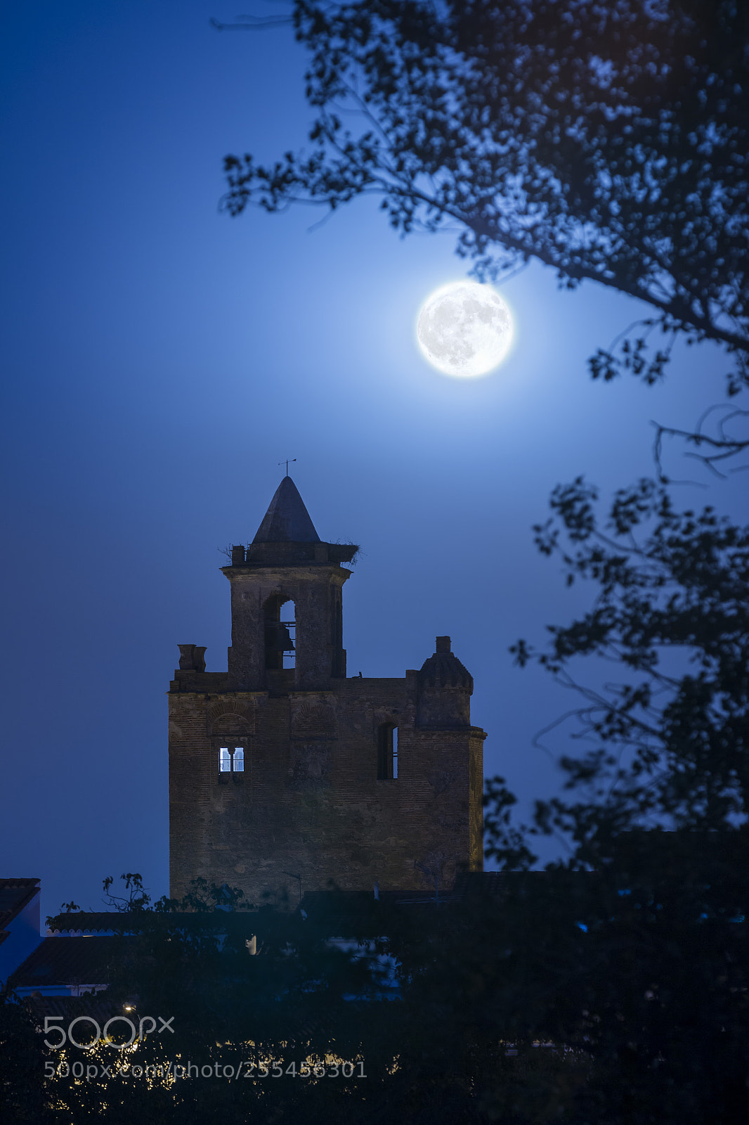 Canon EOS 70D sample photo. Bell tower of church photography